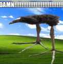 21 KB