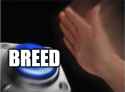 16 KB