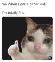 83 KB